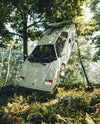 Forest Phantom